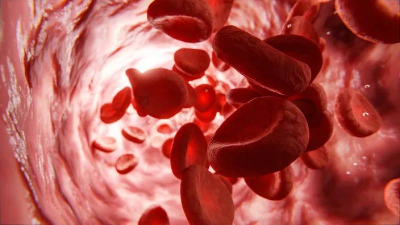 Covid long: un pas vers un test sanguin pour faciliter le diagnostic