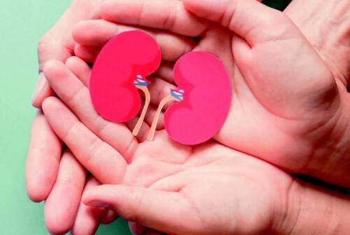 MALADIE RENALE CHRONIQUE : Amélioration du repérage et prise en charge