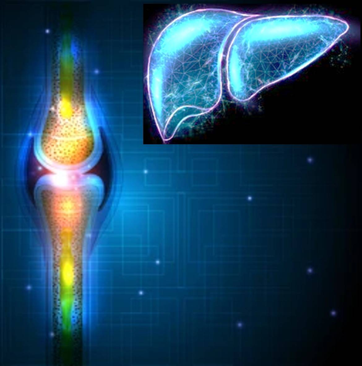 Phosphatases alcalines