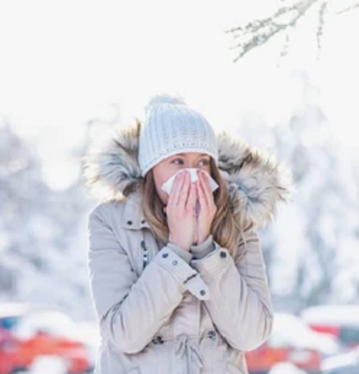 Les virus de l’hiver