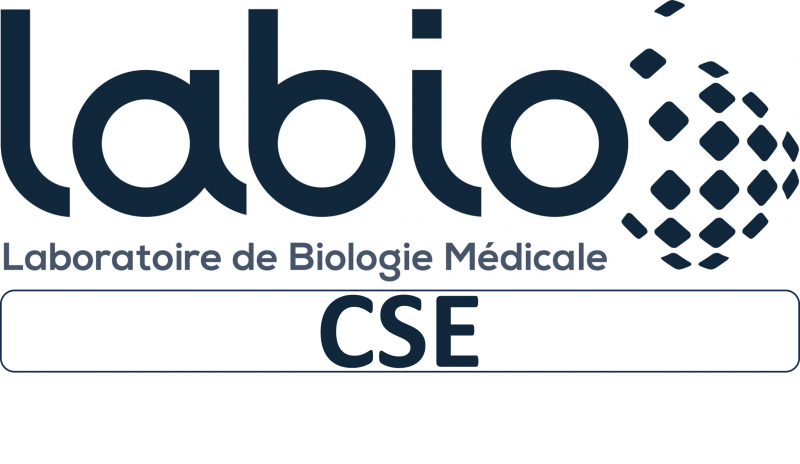 Soirées conviviales du Noël CSE LABIO 2023